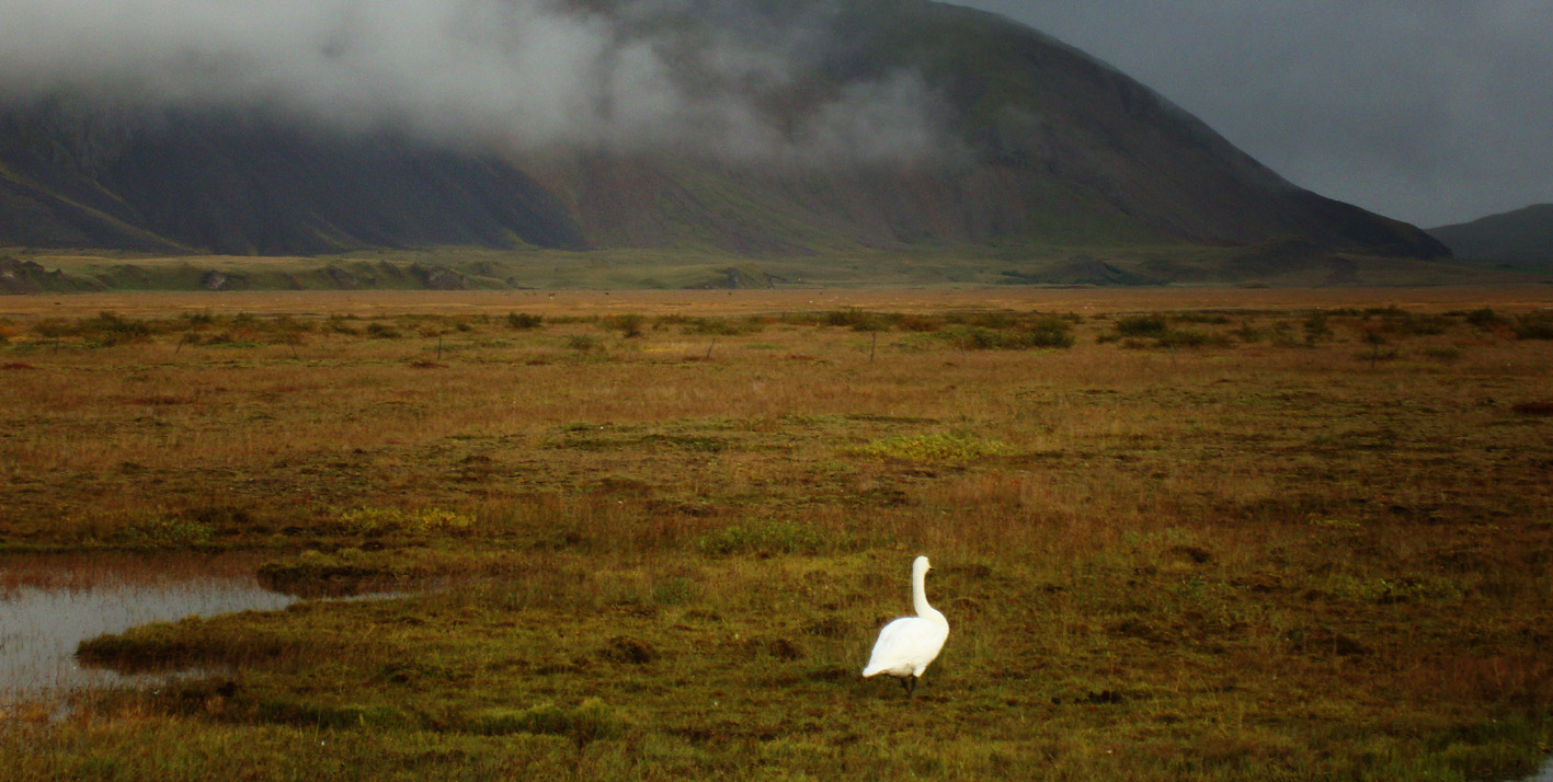 13116504_979917632061722_5796979475383303983_o